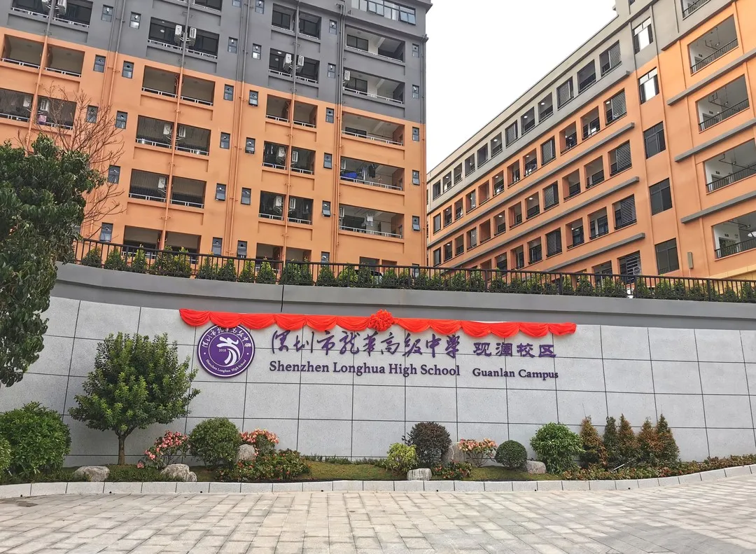 项目背景