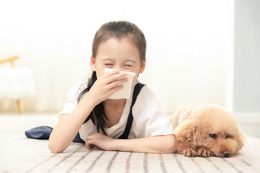 行业现状