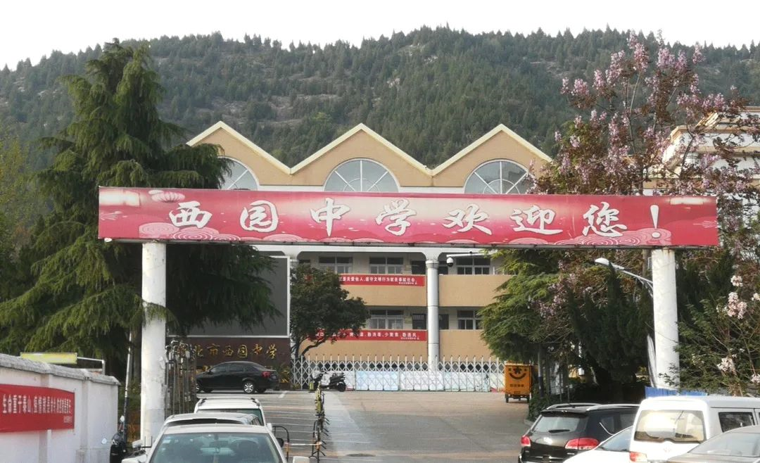 项目背景